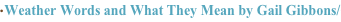 shapeimage_3_link_5